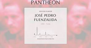 José Pedro Fuenzalida Biography - Chilean footballer (born 1985)
