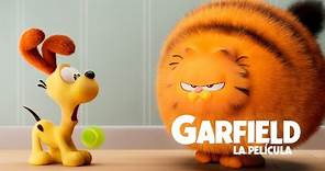 GARFIELD. ¿Tienes hambre? Devora una nueva aventura junto a Garfield. Exclusivamente en cines.