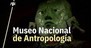 55 años del Museo Nacional de Antropología