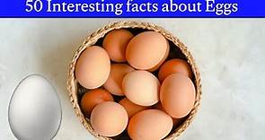 50 interesting facts about Eggs | facts about