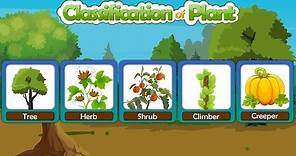 Classification of plants | Different types of plants | Types of plants | Plant taxonomy