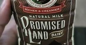 Promised Land Dairy Midnight Chocolate Whole Milk