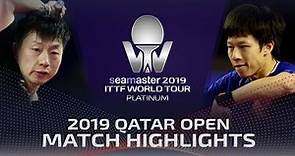 Ma Long vs Lin Gaoyuan | 2019 ITTF Qatar Open Highlights (Final)