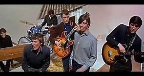 The Nashville Teens - Tobacco Road 1964
