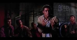 The Gangs fight (West Side Story)