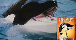 Miserable killer whale named Keiko who starred in Free Willy & died alone