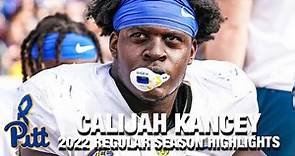 Calijah Kancey 2022 Regular Season Highlights | Pittsburgh DL