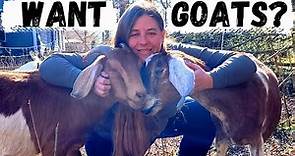 Beginner's Guide To Raising Goats | How To Choose & Care For Your First Goats