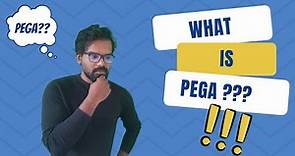 1. What is pega and its scope?