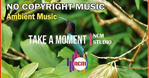 Take A Moment - Brian Withycombe: Ambient Music, Inspirational Music, Positive Music @NCMstudio18