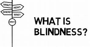 What is Blindness?