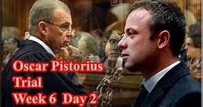 Oscar Pistorius Trial: Tuesday 15 April 2014, Session 1