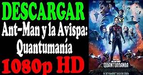 Ant-Man y la Avispa: Quantumanía | 1080p HD | Mediafire, Mega | Español Latino - Ingles
