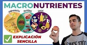 Qué son los MACRONUTRIENTES? 🍎 EXPLICADO | Carbohidratos proteinas y grasas