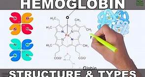 Hemoglobin | Structure and Types