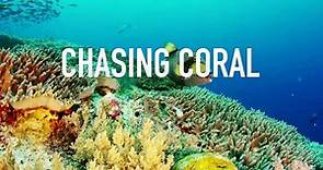 Chasing Coral (2017) | WatchDocumentaries.com