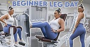 BEGINNER LEG DAY | Using Basic Gym Equipment