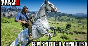 FEW SPOTTED APPALOOSA - Red Dead Redemption 2 Story Mode