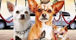 Un Chihuahua en Beverly Hills 2 español latino