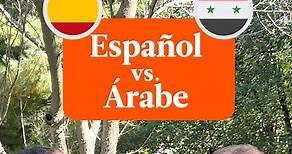 ¿Sabías que el español está fuertemente influenciado por el árabe? Más de 4000 palabras en español provienen de esta lengua. 😮 | Babbel