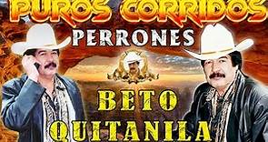 Beto Quintanilla | Puros Corridos Perrones