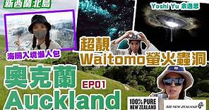 🇳🇿新西蘭(北島)奧克蘭 EP1 🛫海關入境懶人包／超靚Waitomo螢火蟲洞!!🤩