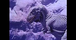 Planet of Dinosuars(1978) - Tyrannosaurus Rex