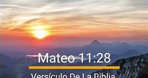 Mateo 11;28 -Versículo De La Biblia