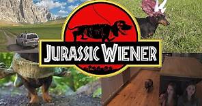 Ep. 1: "Jurassic Wiener" - Dachshund Dinosaurs!