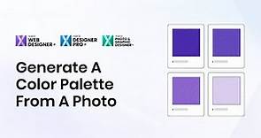 Generate A Color Palette From An Image | Xara