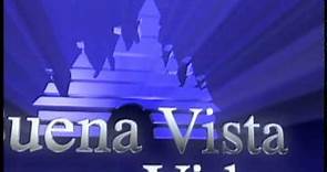 Buena Vista Home Video (2002 logo)