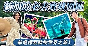 【可樂旅遊｜新加坡旅行】新加坡必去寶藏園區🥰坐遊船探索亞馬遜河🔥開箱河川生態園、飛禽公園🦜必看展翅高飛秀超精彩‼️