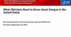 What Clinicians Need to Know about Dengue in the United States