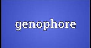 Genophore Meaning