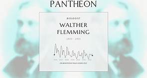 Walther Flemming Biography - German biologist