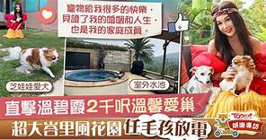 【明星豪宅】溫碧霞家有大花園讓毛孩放電　藉愛犬跟養子建立良好關係 - 香港經濟日報 - TOPick - 娛樂