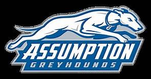 Assumption Greyhounds Scores, Stats and Highlights - ESPN