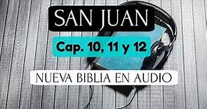 SAN JUAN 10, 11 y 12 Biblia Hablada NVI Nueva Verisión Internacional Audio Nitido Voz humana