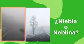 Niebla y Neblina- ¿Qué es? y Diferencia principal