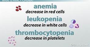 What Is Pancytopenia? - Definition, Causes & Treatment