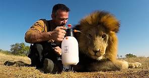 Lion Treats!!! The Everything Spray | The Lion Whisperer