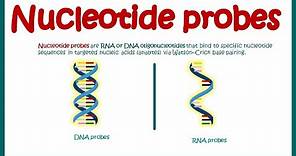 Nucleotide Probes | What are probes ? | Application of probes in biotechnology | DNA and RNA probes