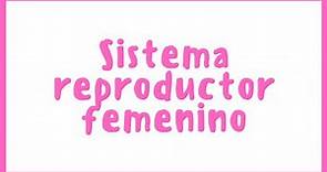 ANATOMÍA | Sistema reproductor femenino | Blasto Med