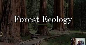 Forest Ecology- Part 1