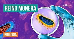 REINO MONERA: características, anatomia e tipos de bactérias | Biologia Enem. Prof Claudia Aguiar