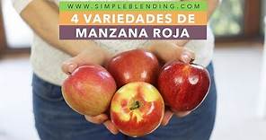 4 VARIEDADES DE MANZANA ROJA | Comparativa de manzana | Compra saludable en Comefruta