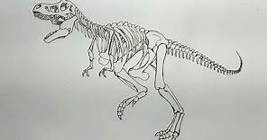 Como desenhar um esqueleto de dinossauro (T-Rex) - How to draw a dinosaur skeleton