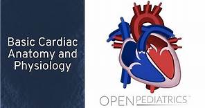 Basic Cardiac Anatomy and Physiology by N. Braudis | OPENPediatrics