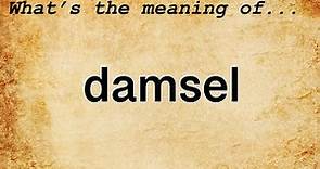 Damsel Meaning : Definition of Damsel