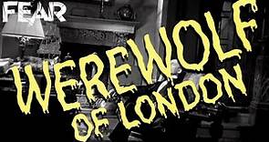 Werewolf of London (1935) | Trailer | Classic Monsters